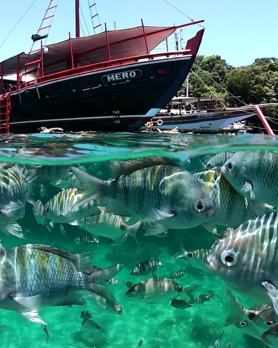 Barco Mero em navegação